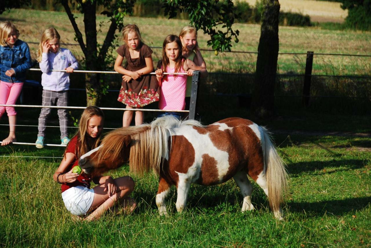 Ferienhof Blunck Wangels Luaran gambar